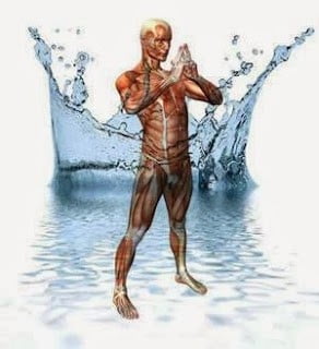 corpo-humano-maioritariamente-constituido-por-agua